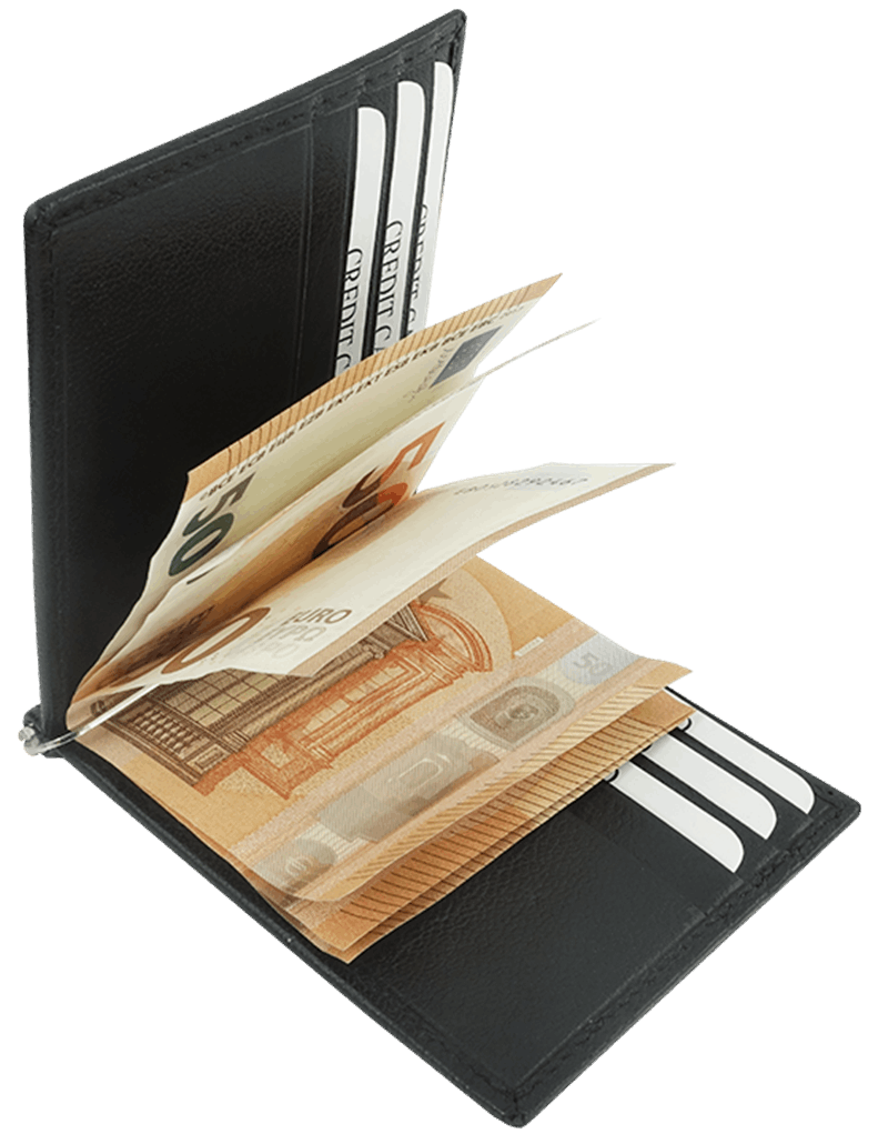 Miniature 1 pour Portefeuille 38005201