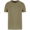 light-olive-green