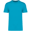 light-turquoise