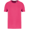 raspberry-sorbet