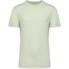 celadon-green