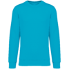 light-turquoise