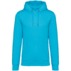 light-turquoise