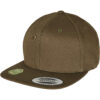 burnt-olive