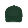 forest-green