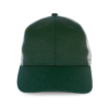 forest-green-light-grey