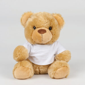 Visuel Ours en peluche avec t-shirt
