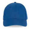 royal-blue
