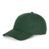 forest-green