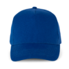 royal-blue