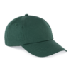 sycamore-green