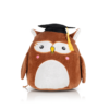 wise-owl