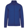 royal-blue