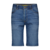 blue-rooster