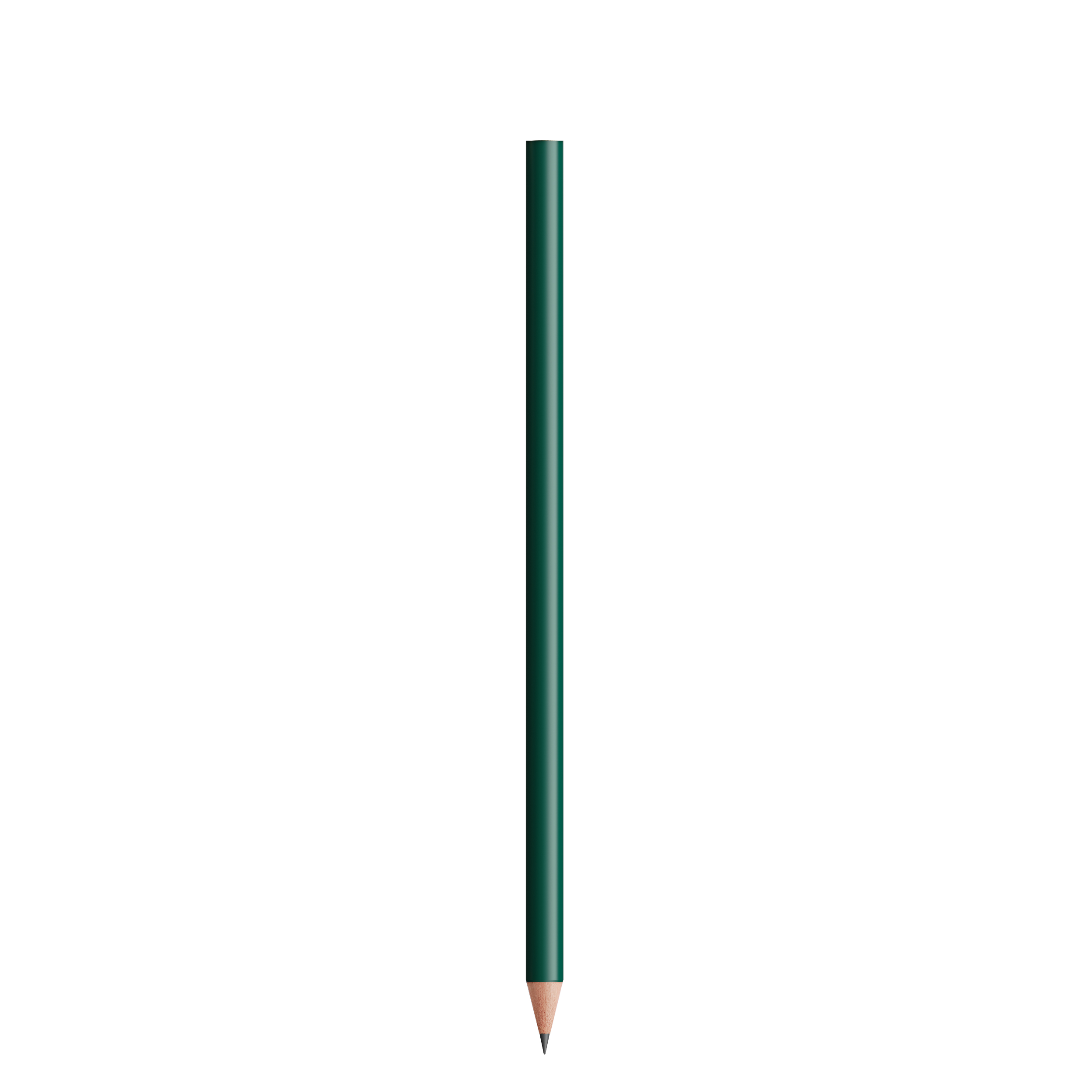 Miniature 5 pour BIC®  Evolution® Classic Cut Ecolutions® crayon