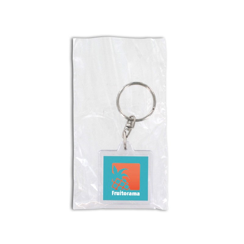 Miniature 2 pour PORTE-CLES TRANSPARENT PORTE-ETIQUETTE