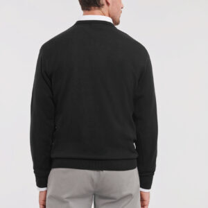 Visuel Pullover homme col v