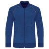 dark-royal-blue