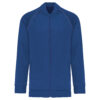 dark-royal-blue