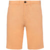 pastel-apricot
