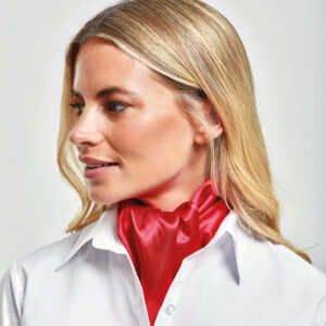Visuel Foulard d'affaires "Colours"