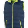 navy-lime