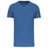 light-royal-blue