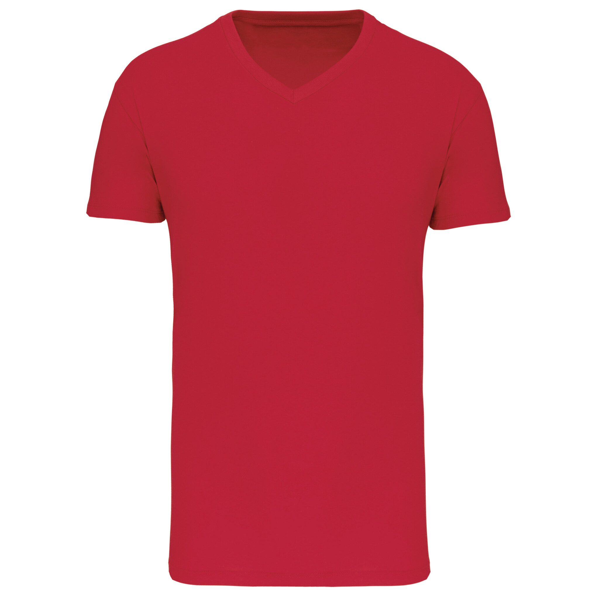 Miniature 17 pour T-shirt Bio150 IC col V homme