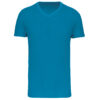 tropical-blue