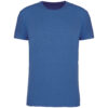 light-royal-blue