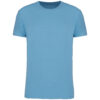 cloudy-blue-heather