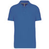 light-royal-blue