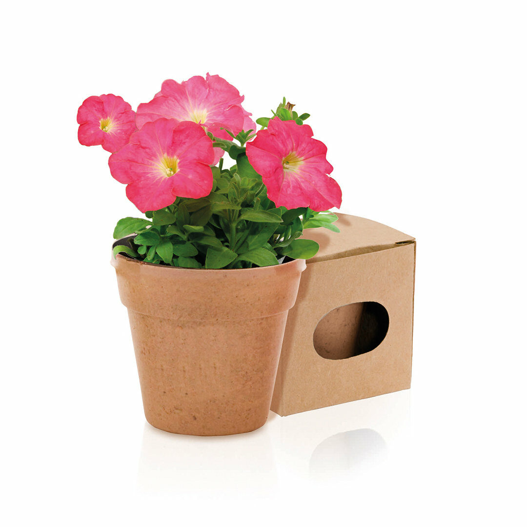 Miniature 2 pour Tubibata - personnalisable