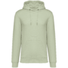 celadon-green