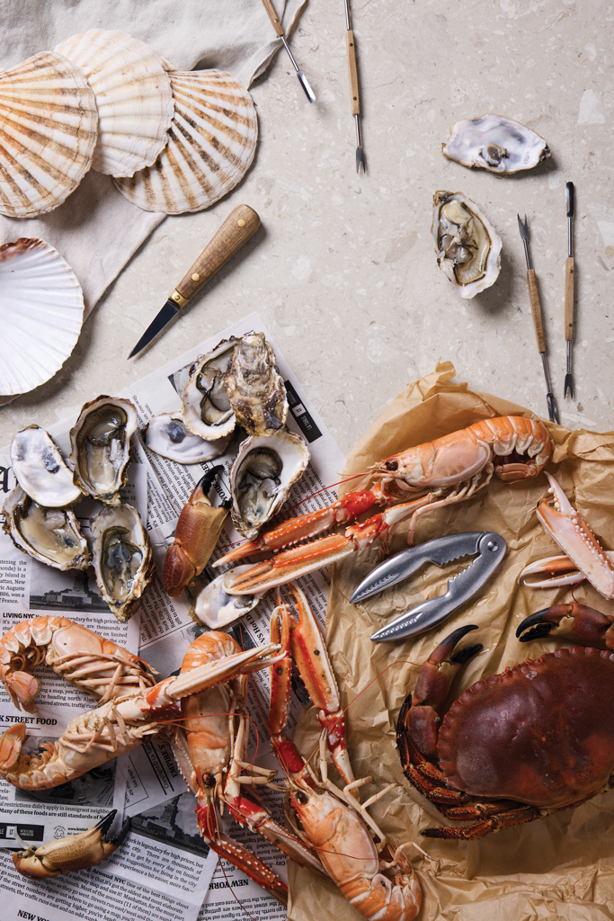 Miniature 5 pour VINGA Histoire des fruits de mer