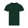 vert-bouteille