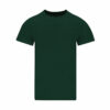 vert-bouteille