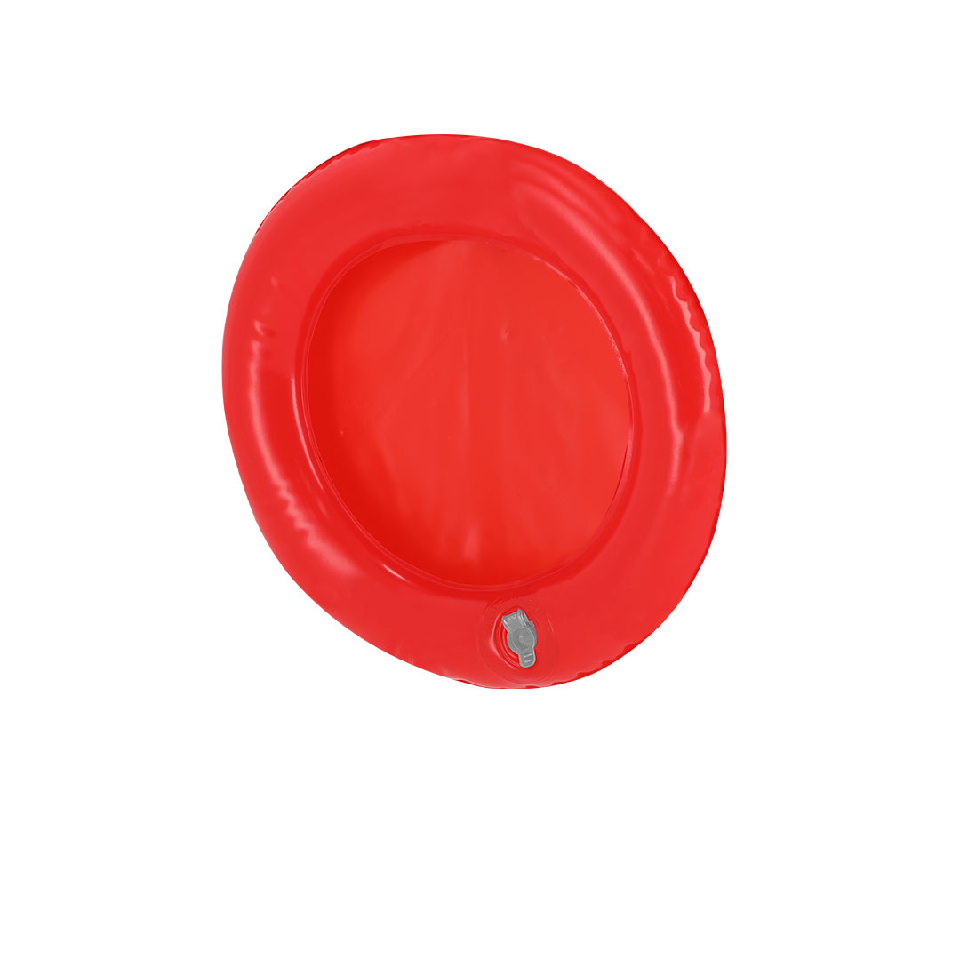 Miniature 2 pour Disque Volant Coussin Cuxozoni - personnalisable