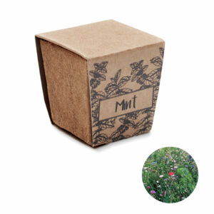 Visuel Mint kit