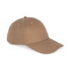 dark-camel