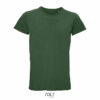 vert-bouteille