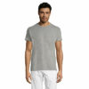 gris-chine