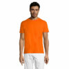 orange-2