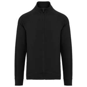 Visuel Veste molleton coton manches raglan unisexe