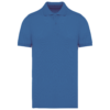 light-royal-blue