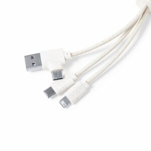 Visuel Câble du Chargeur Carezoke - personnalisable