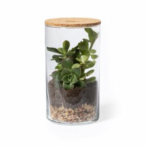 Visuel Terrarium Kadepe - personnalisable