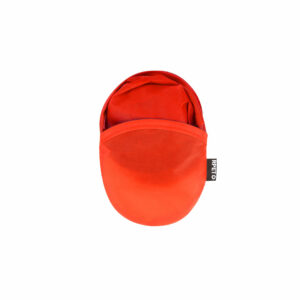 Visuel Frisbee Ludi - personnalisable