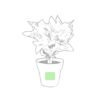 Pot de fleurs 1