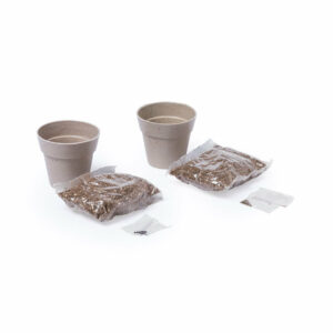 Visuel Set Pot de Fleurs Hinunudu - personnalisable
